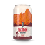 Flatiron American Red Ale